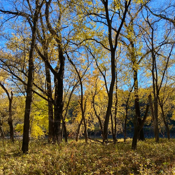 October 25 Rewards (Part 1?)